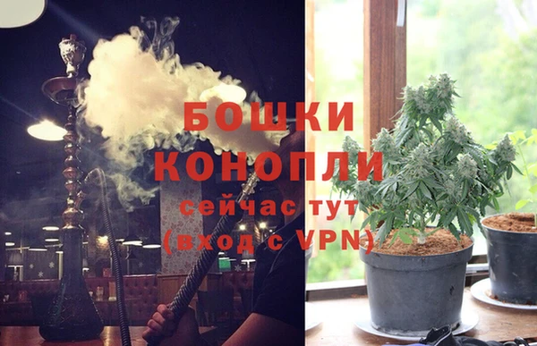 сатива Верея