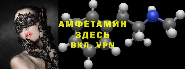сатива Верея