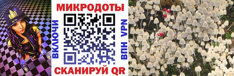Галлюциногенные грибы прущие грибы  дарнет шоп  Кимовск 